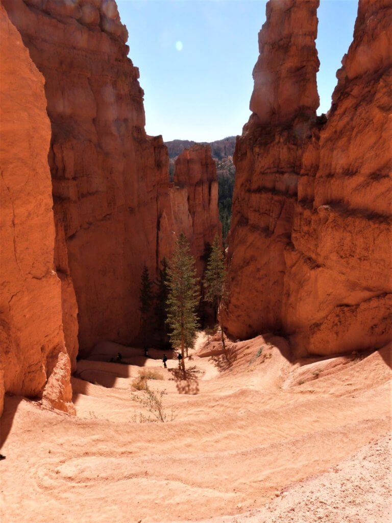 Switchbacks of Navajo Loop Trail