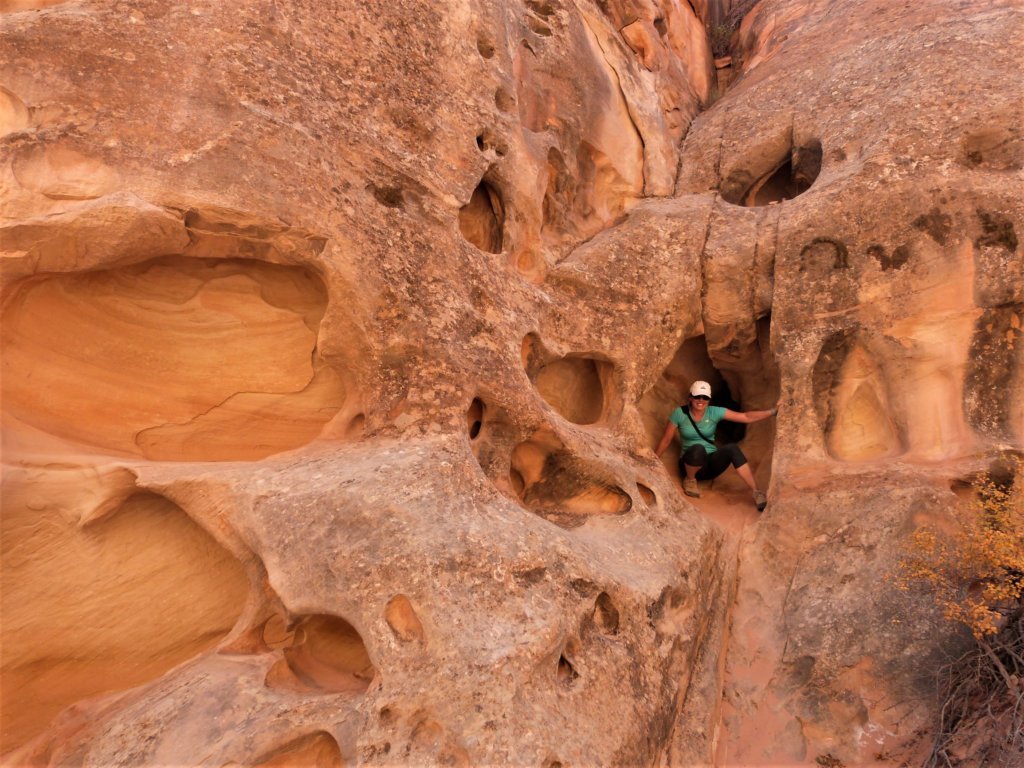 Geological features of Capitol Reef