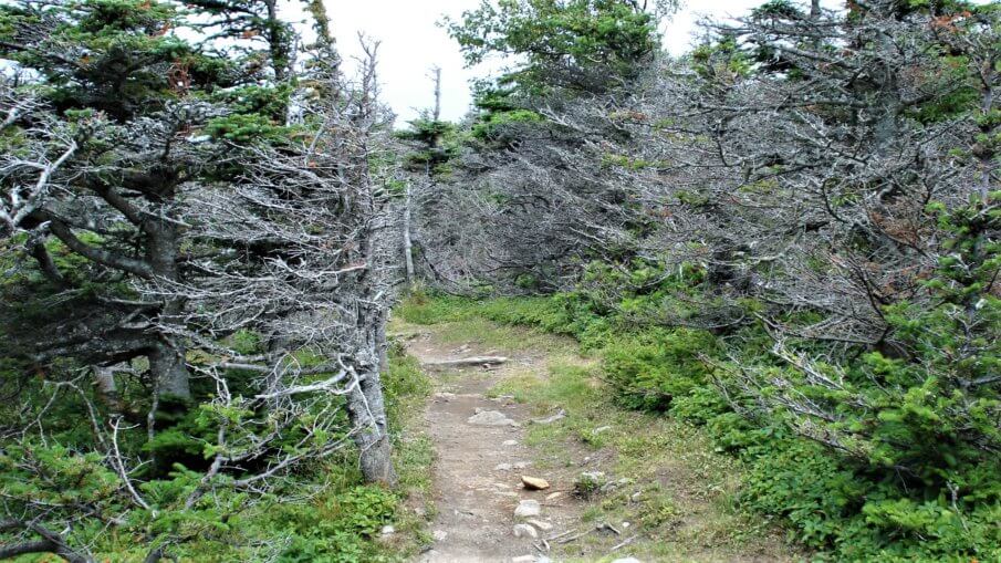 Best hiking in Canada according to bloggers