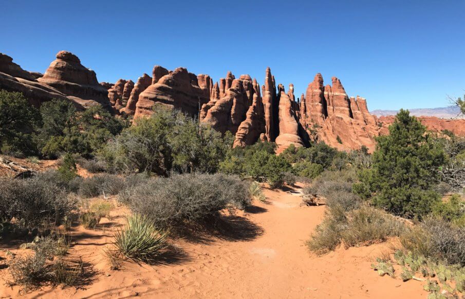 Sandstone fins of the primitive trail