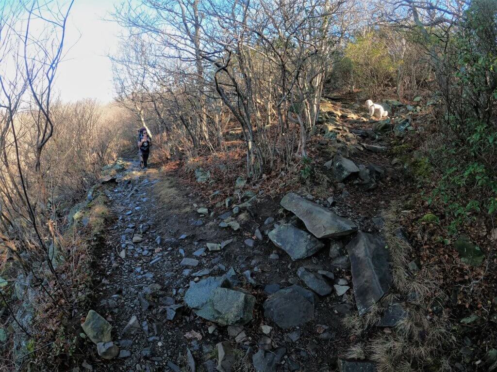 Hiking Mount Marshall on the AT