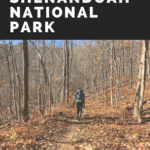 Backcountry hiking in Shenandoah NP