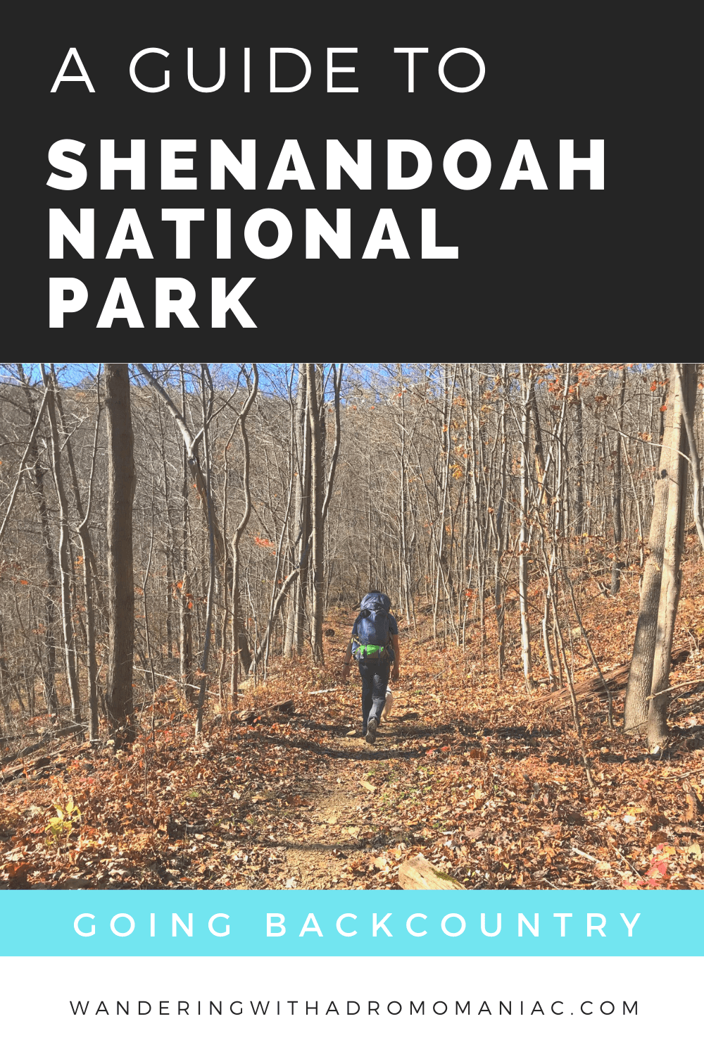 Ultimate Guide To Visiting Shenandoah National Park