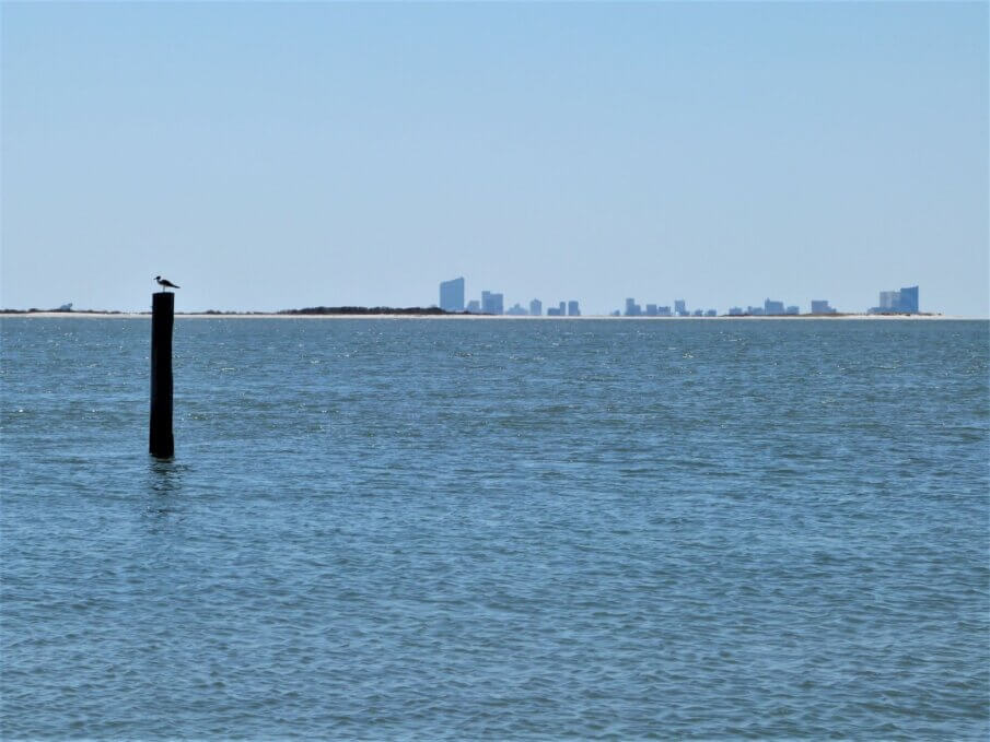 Top historic boardwalk in New Jersey