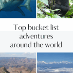 best bucket list trips