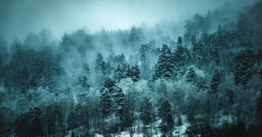 Adventure travel in Siberia