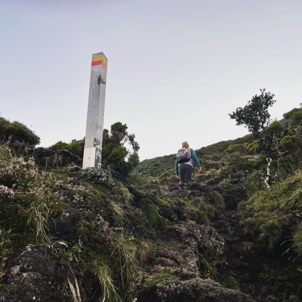 There are 47 trail markers on Mount Pico
