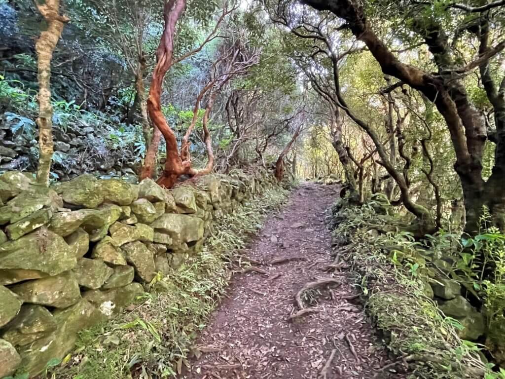Hike to the lagoon on Sao Jorge