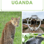tips for visiting Uganda