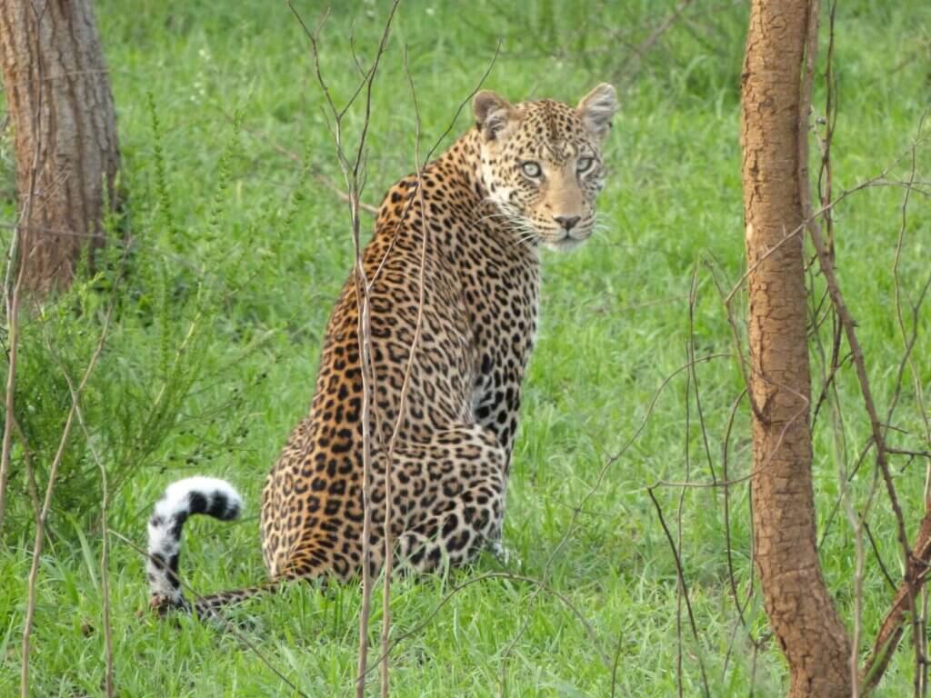 Uganda's Lake Mboro National Park