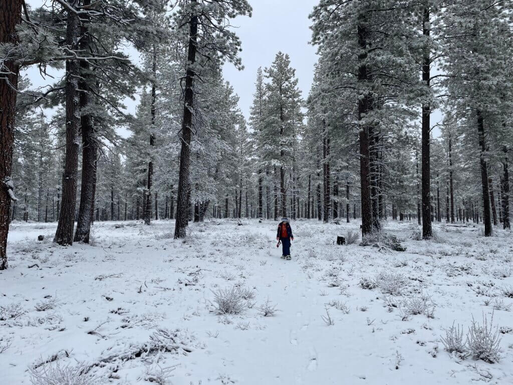 where to go snowshoeing in Bend Oregon
