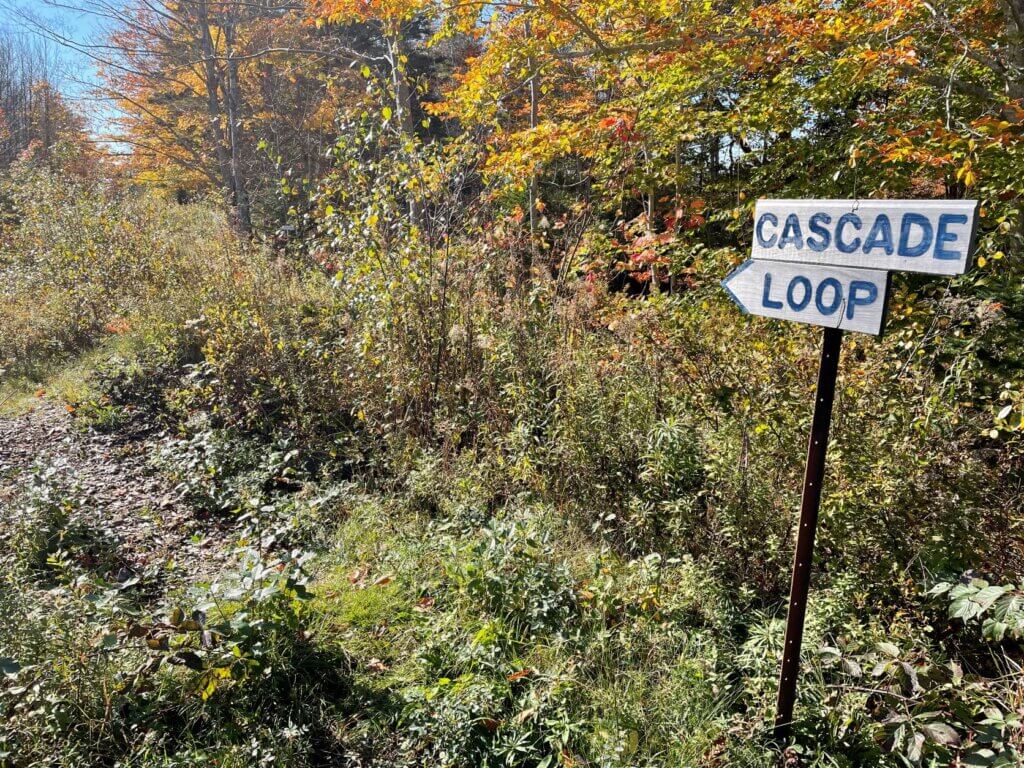 What are the side trails off the VanTassel trail