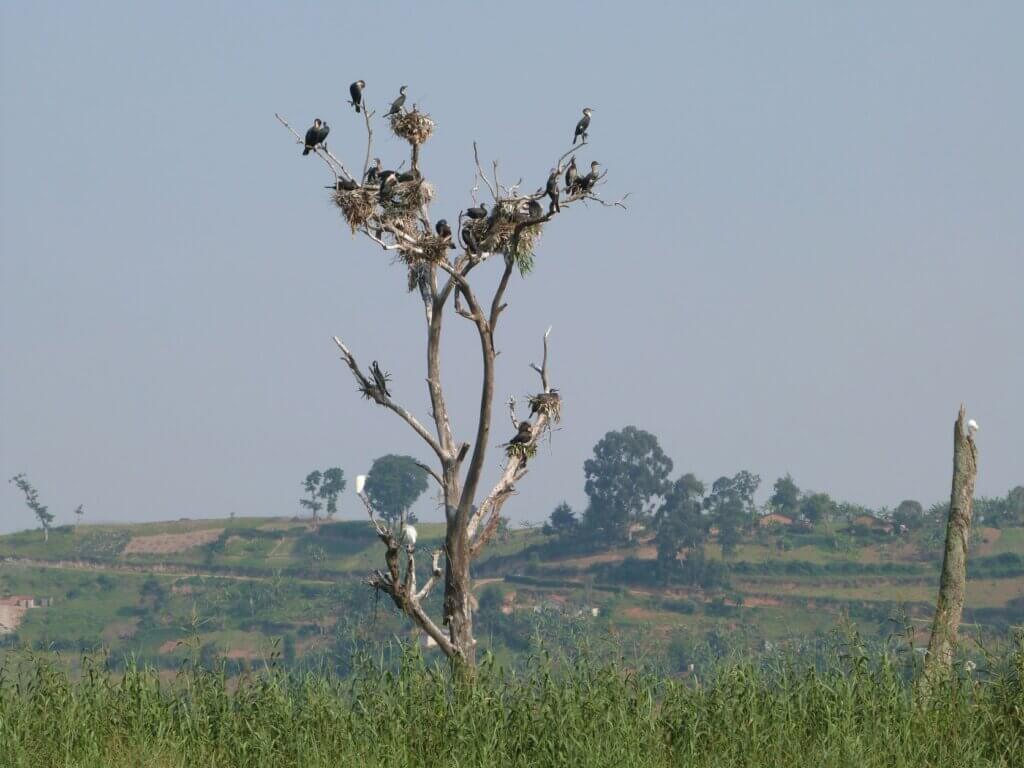 Women left to starve at Punishment Island
