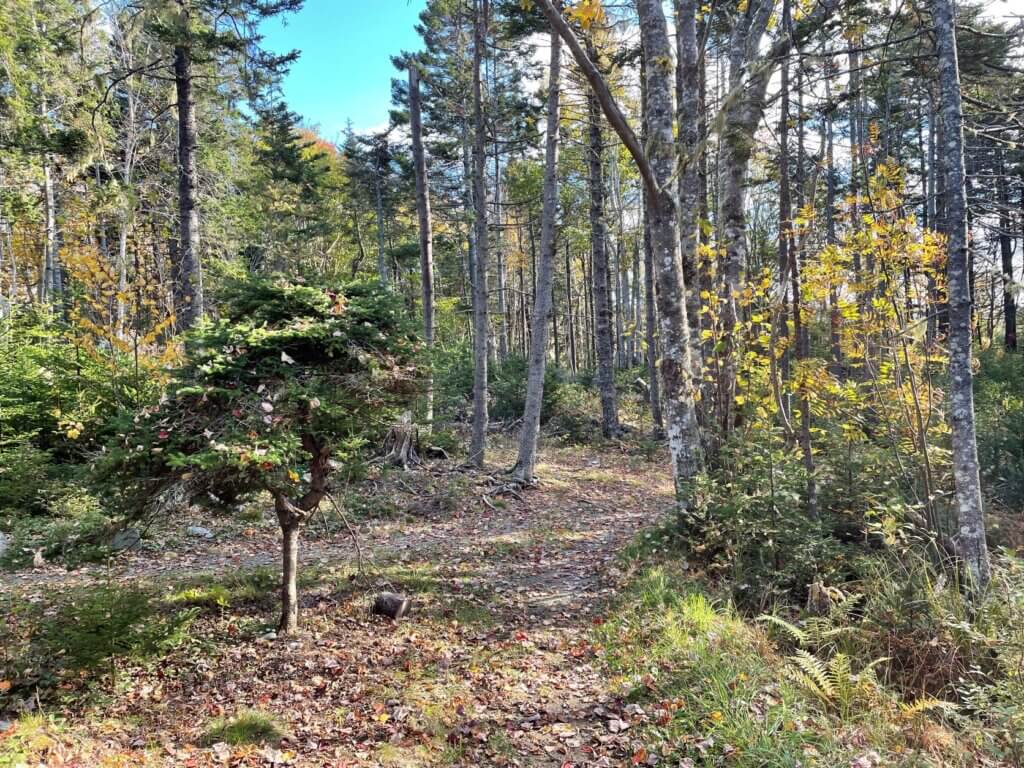 Best trails for families