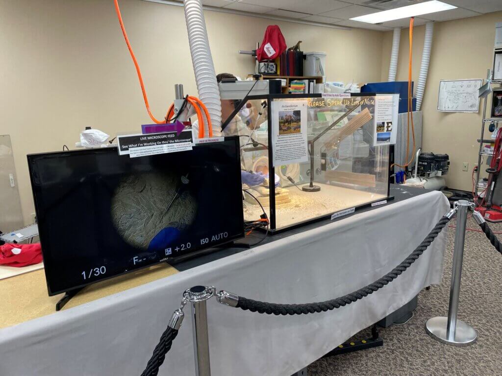 Badlands is best known for it's fossils