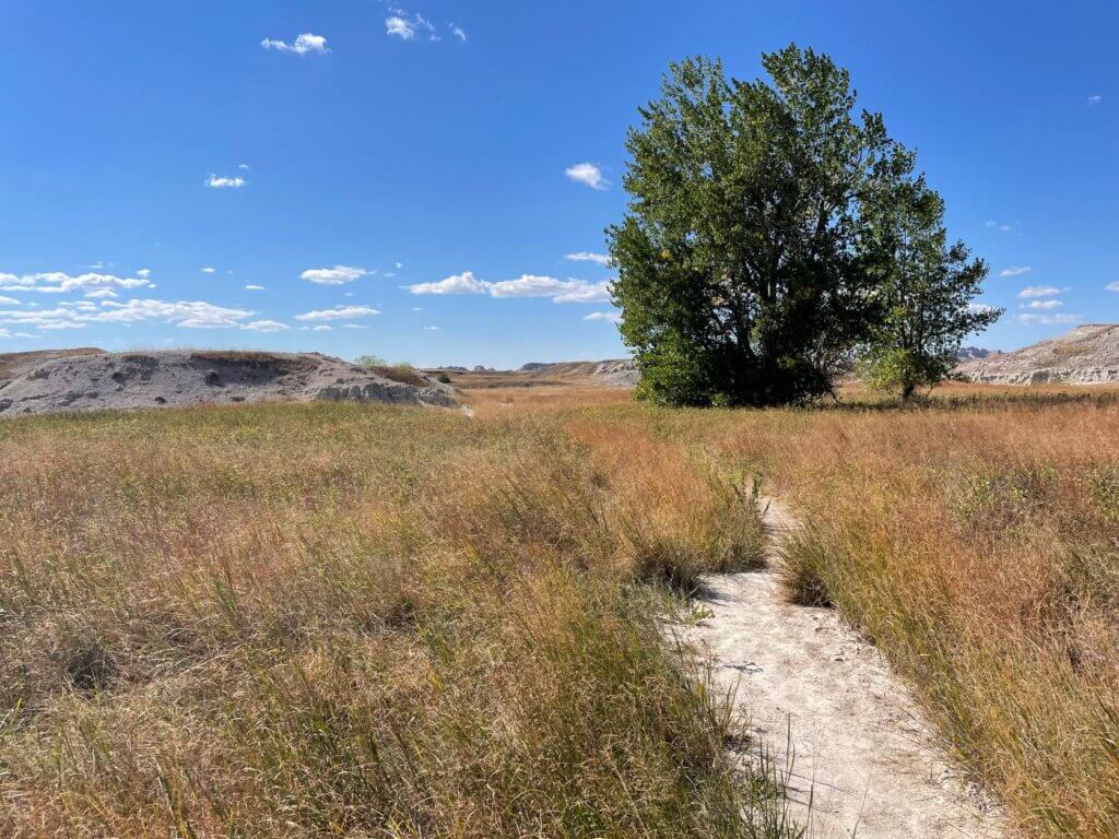 Loop trails in Badlands National Park