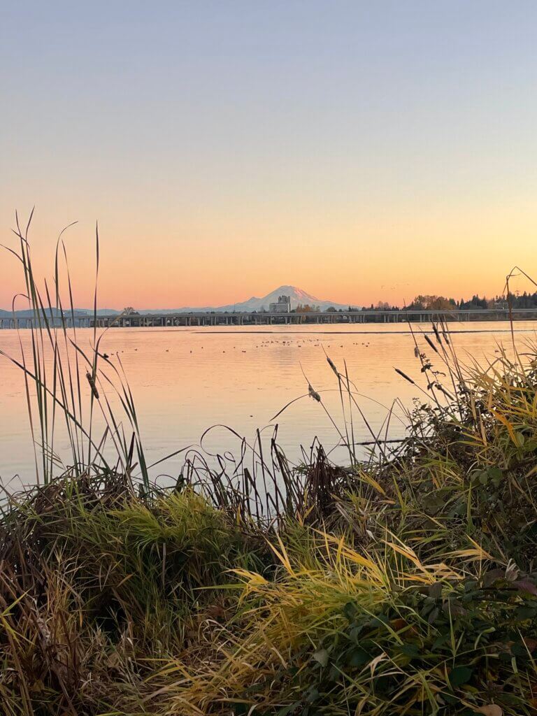 Visiting Union Bay Natural area