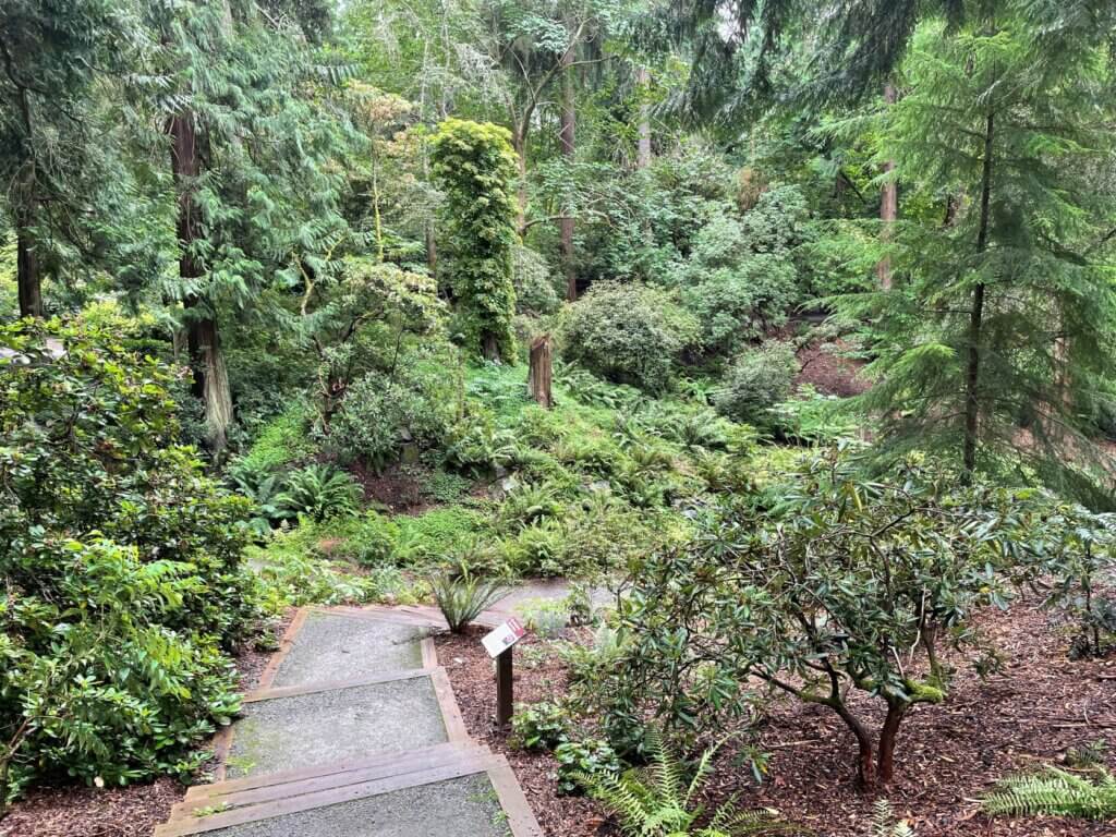 Free places to visit in Seattle