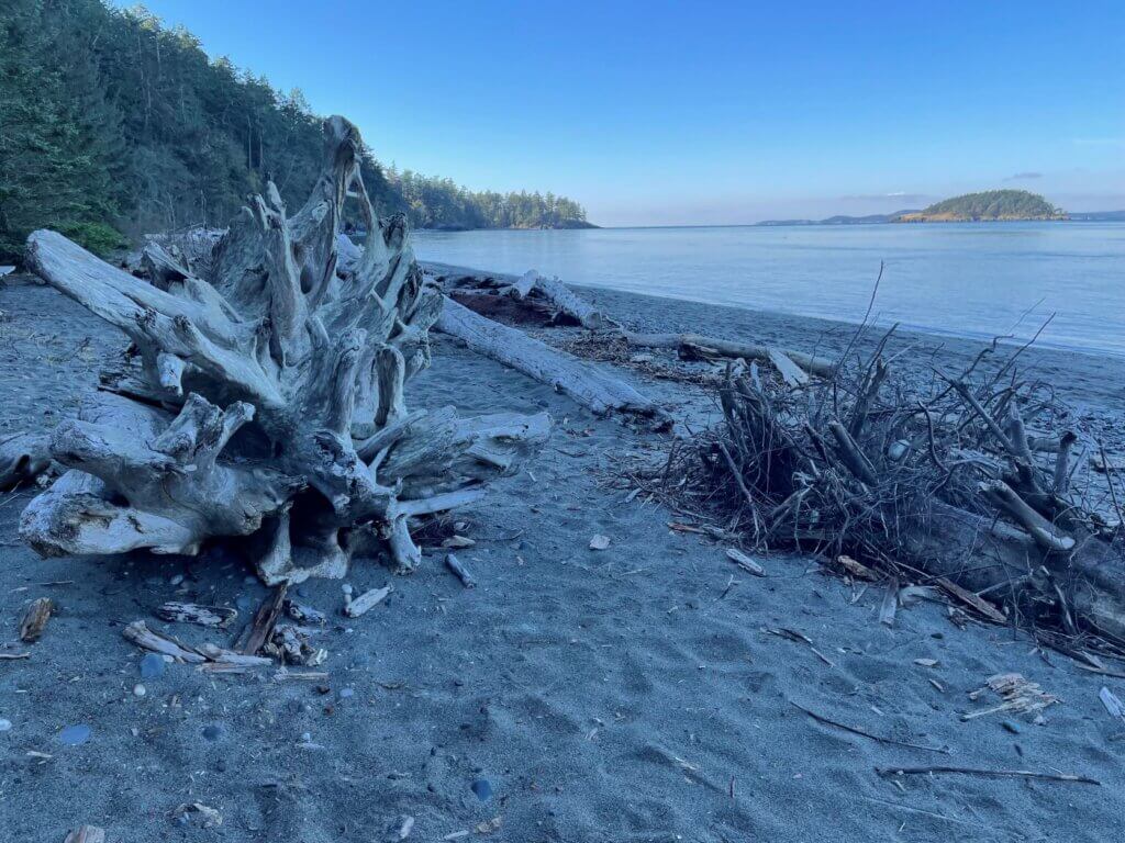 Wildlife viewing on the North Beach Trail