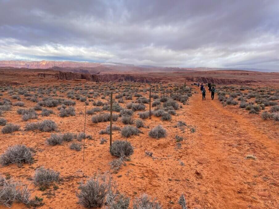What to see in Page, Arizona