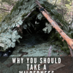 Learn primitive survival skills