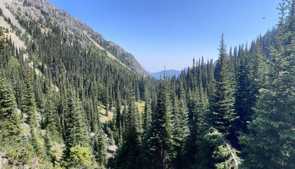 Guide to hiking Marmot Pass