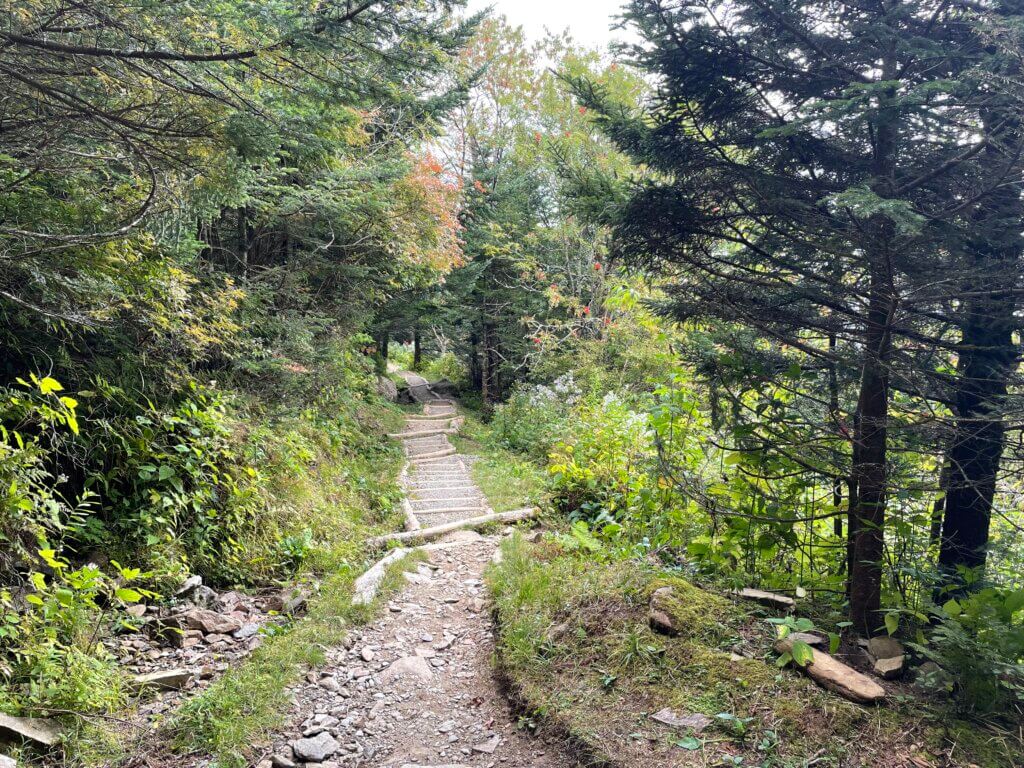 Andrew's Bald is a 1.8 mile one way easy to moderate trail