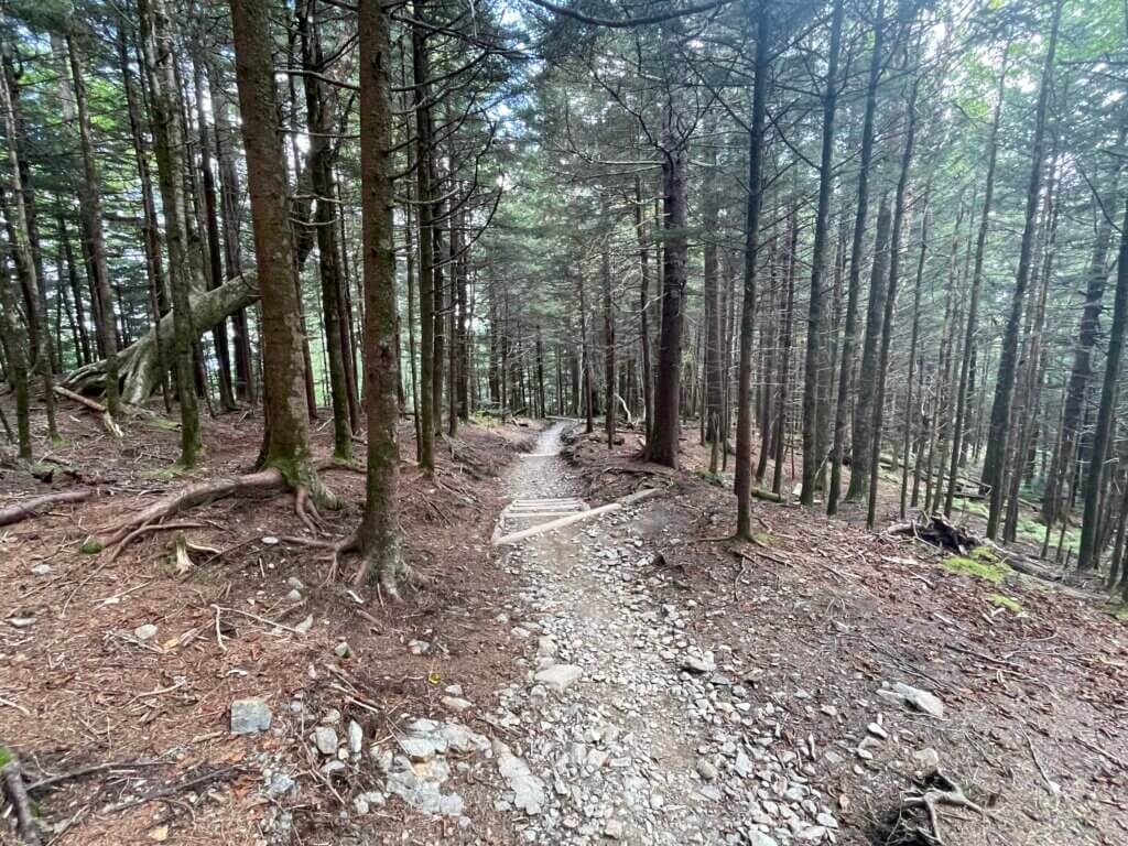 Best national parks for wildlife