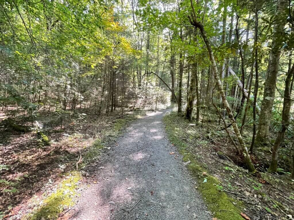 Ramsey cascades trail is considered difficult