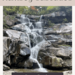 Day hiking in Great Smoky Mountains National Park