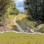 Best Day Hikes in Great Smoky Mountains