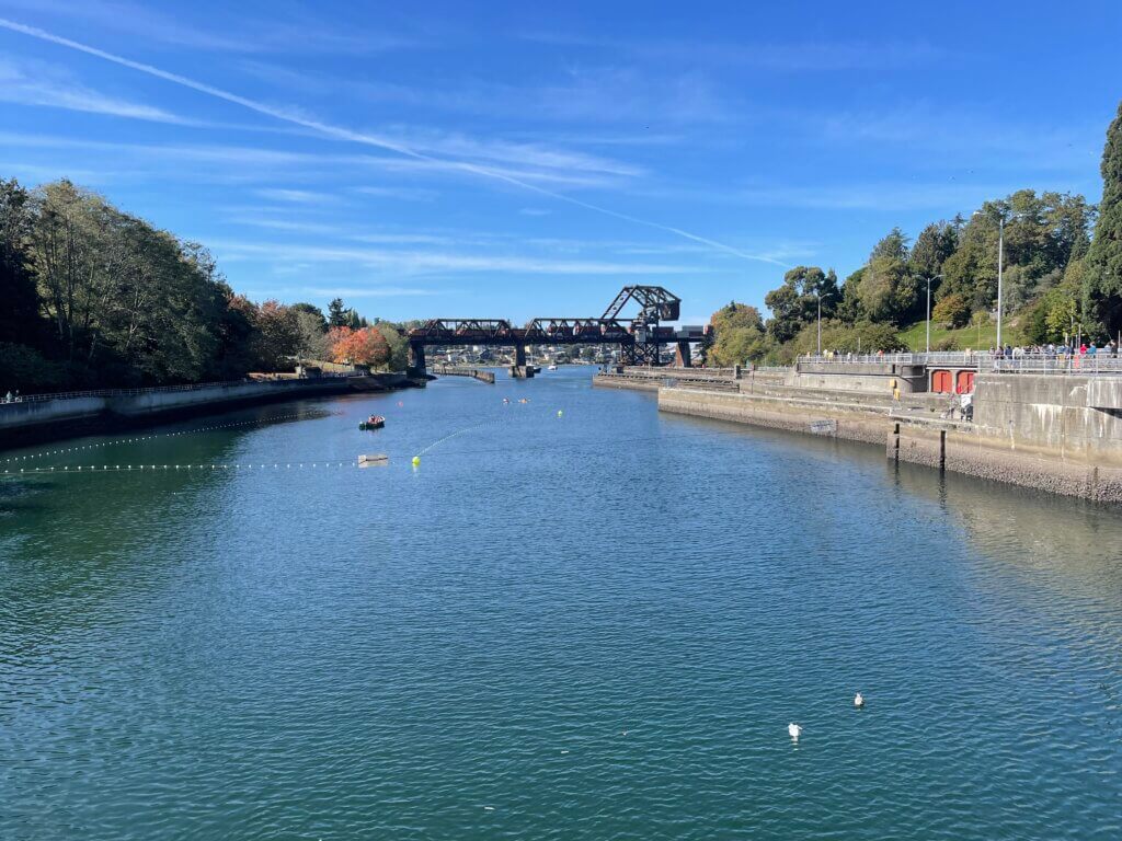 Unique things to do in Seattle