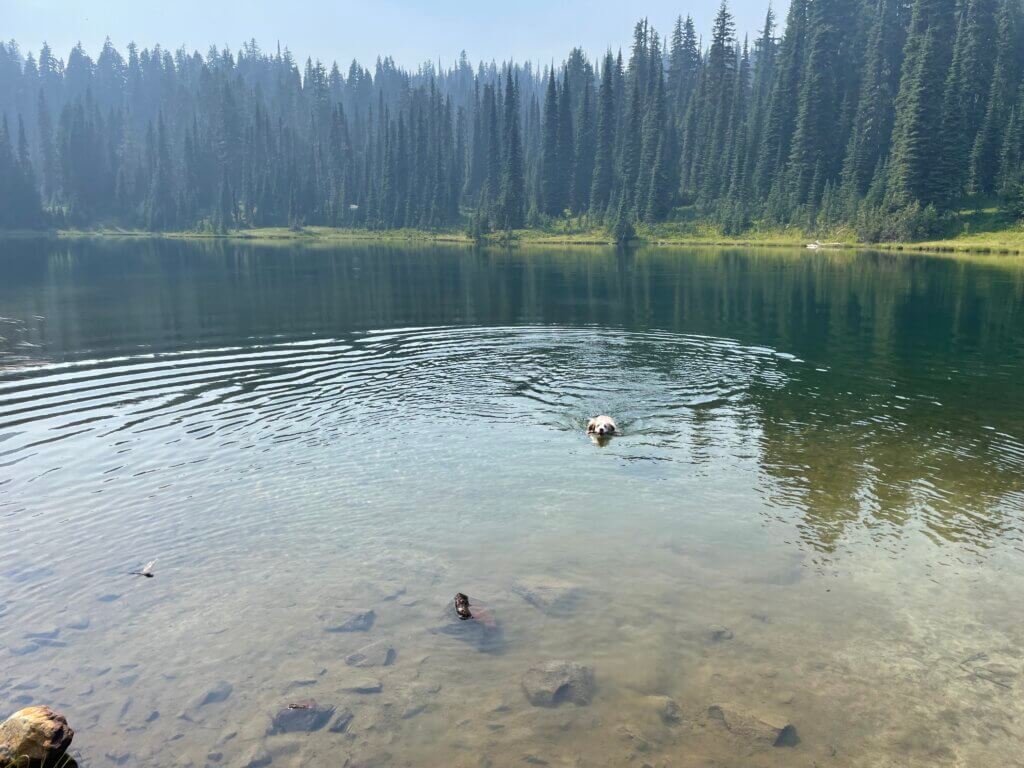 best hikes where you can take a swim