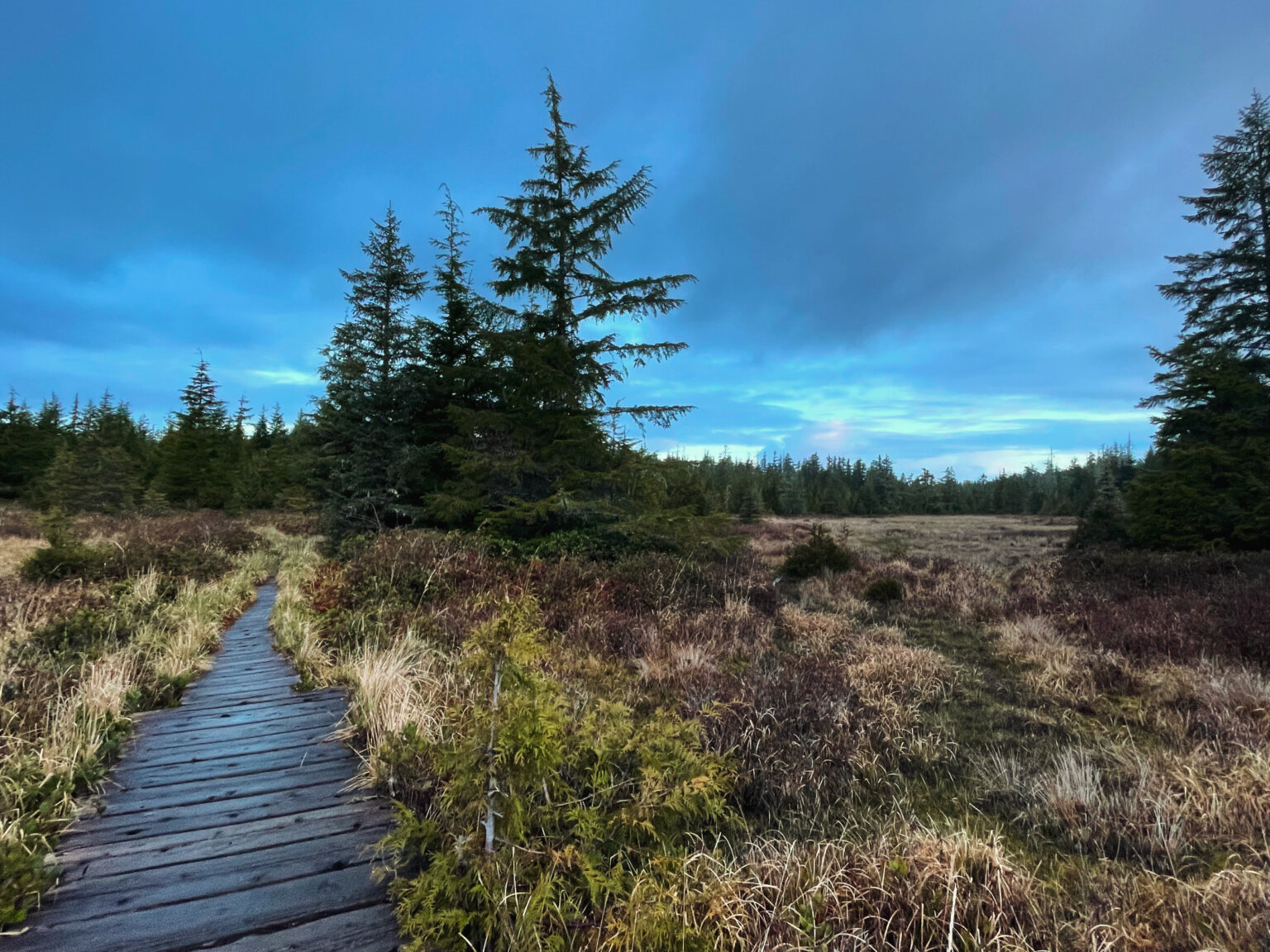 Trail Guide: Ozette Triangle loop in Olympic National Park