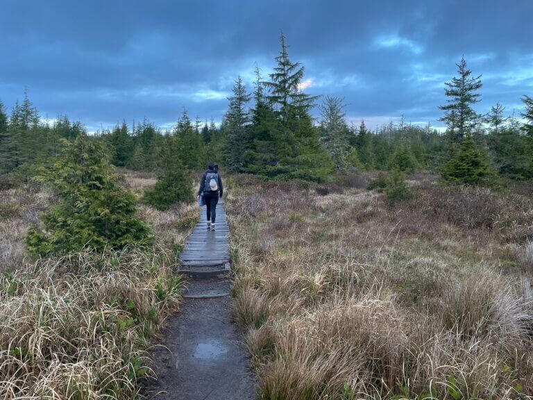 Trail Guide: Ozette Triangle loop in Olympic National Park