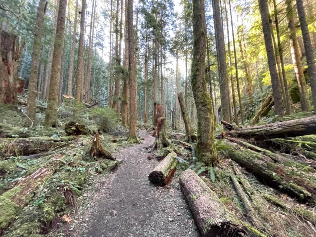 Great hikes for your dog