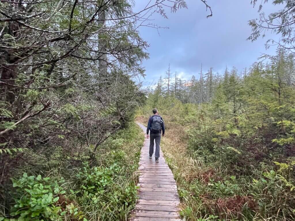 guide to hiking the Ozette triangle loop trail