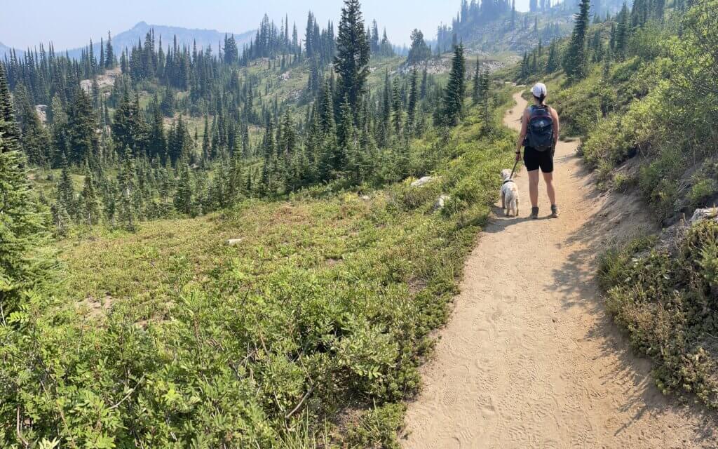 dog friendly hikes near Mount Rainier National Park