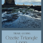 best easy hikes in the Olympic National Park