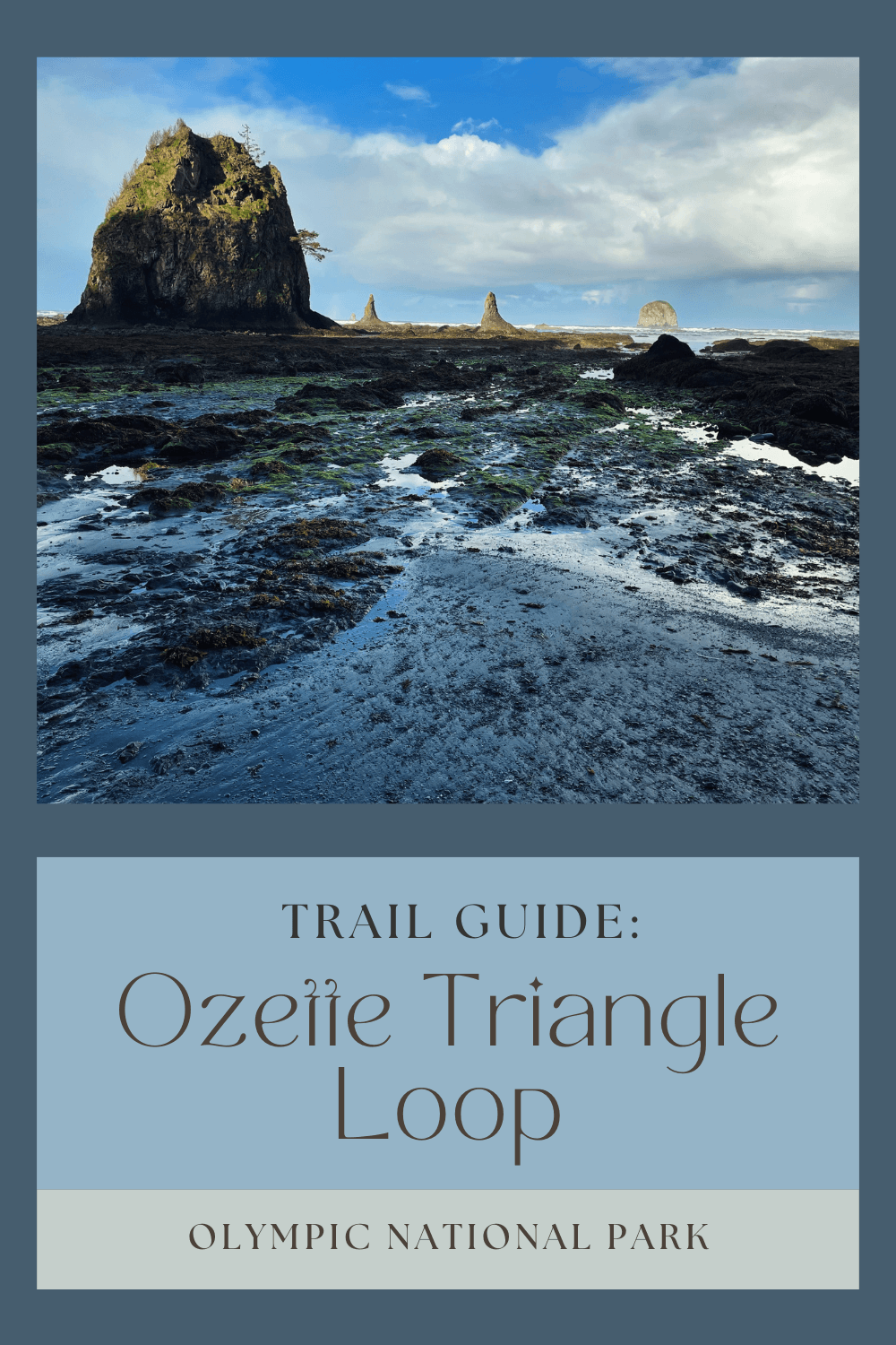 Trail Guide: Ozette Triangle loop in Olympic National Park