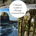Top Things to do at Olympic National Park