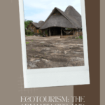ecotourism: pros and cons