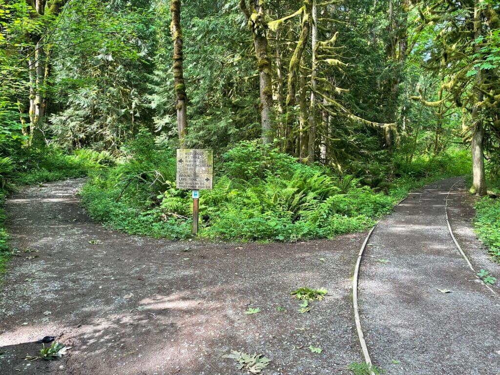hiking west tiger mountain state forest