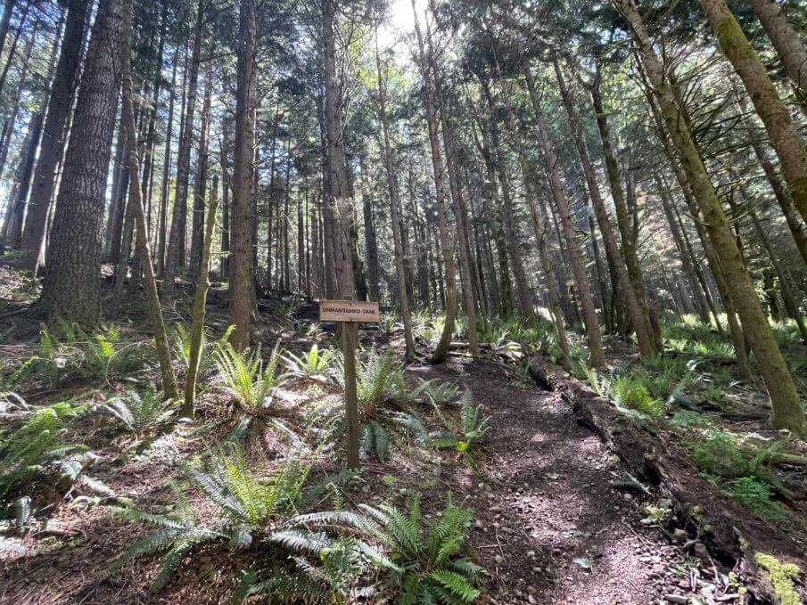 hiking the west tiger 3 mountain trail
