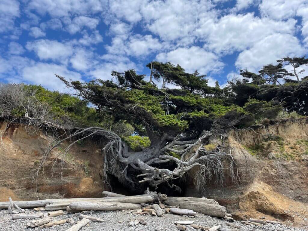 Olympic National Park top ecotourism destination