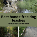 hands free leash systems for runners and hikers