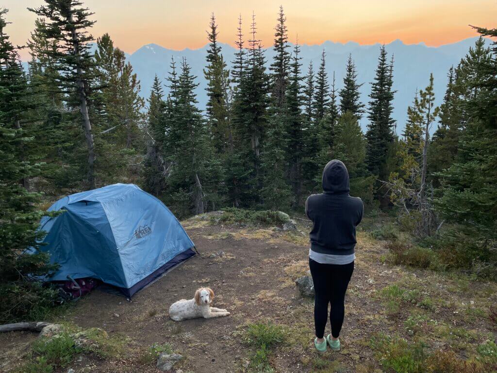 best leash for hiking with your dog