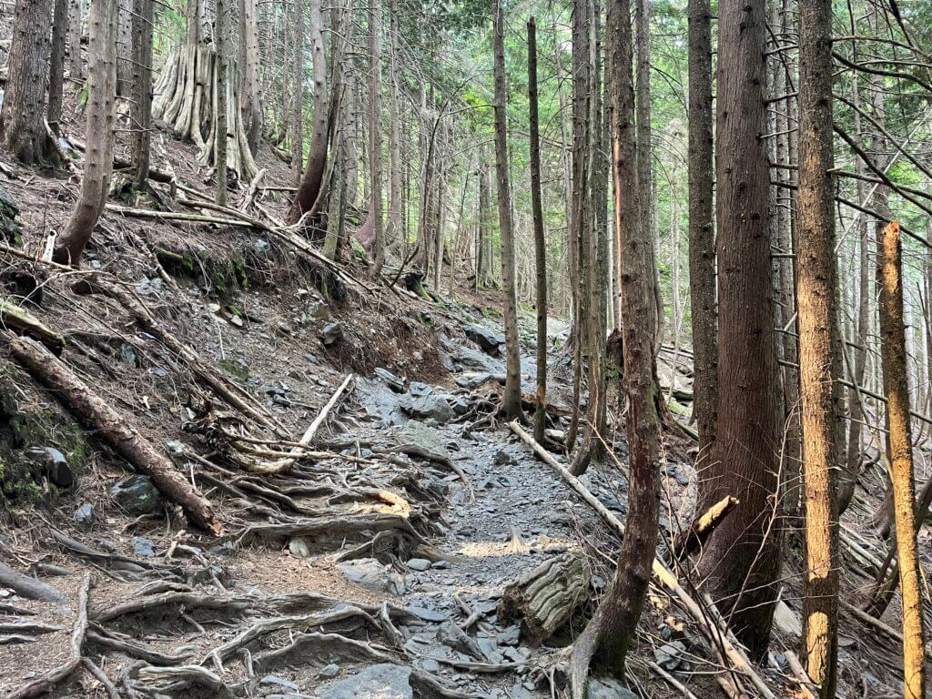 Heather lake trail is rugged