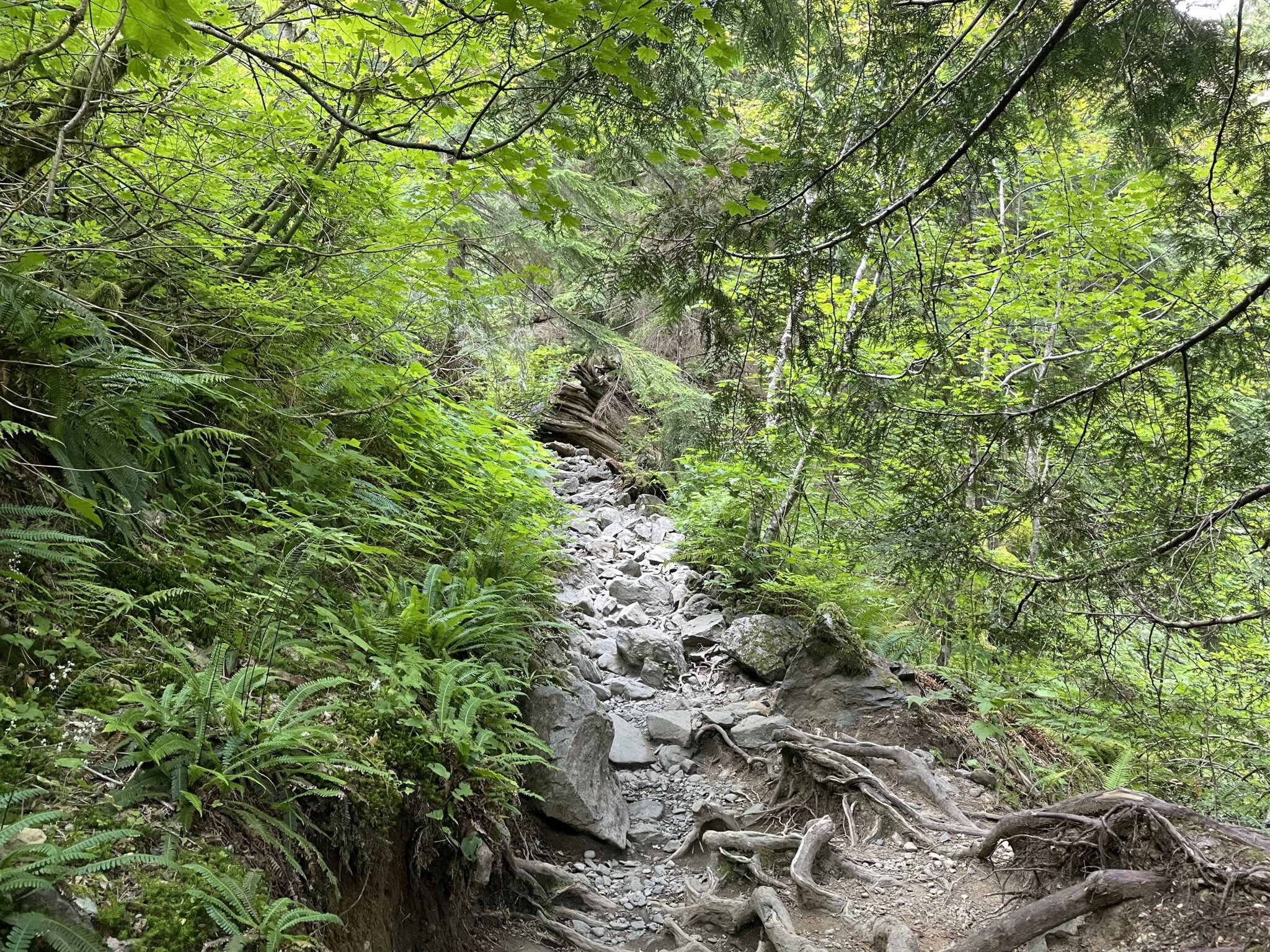 Trail Guide: Hiking the Heather Lake Trail, Washington