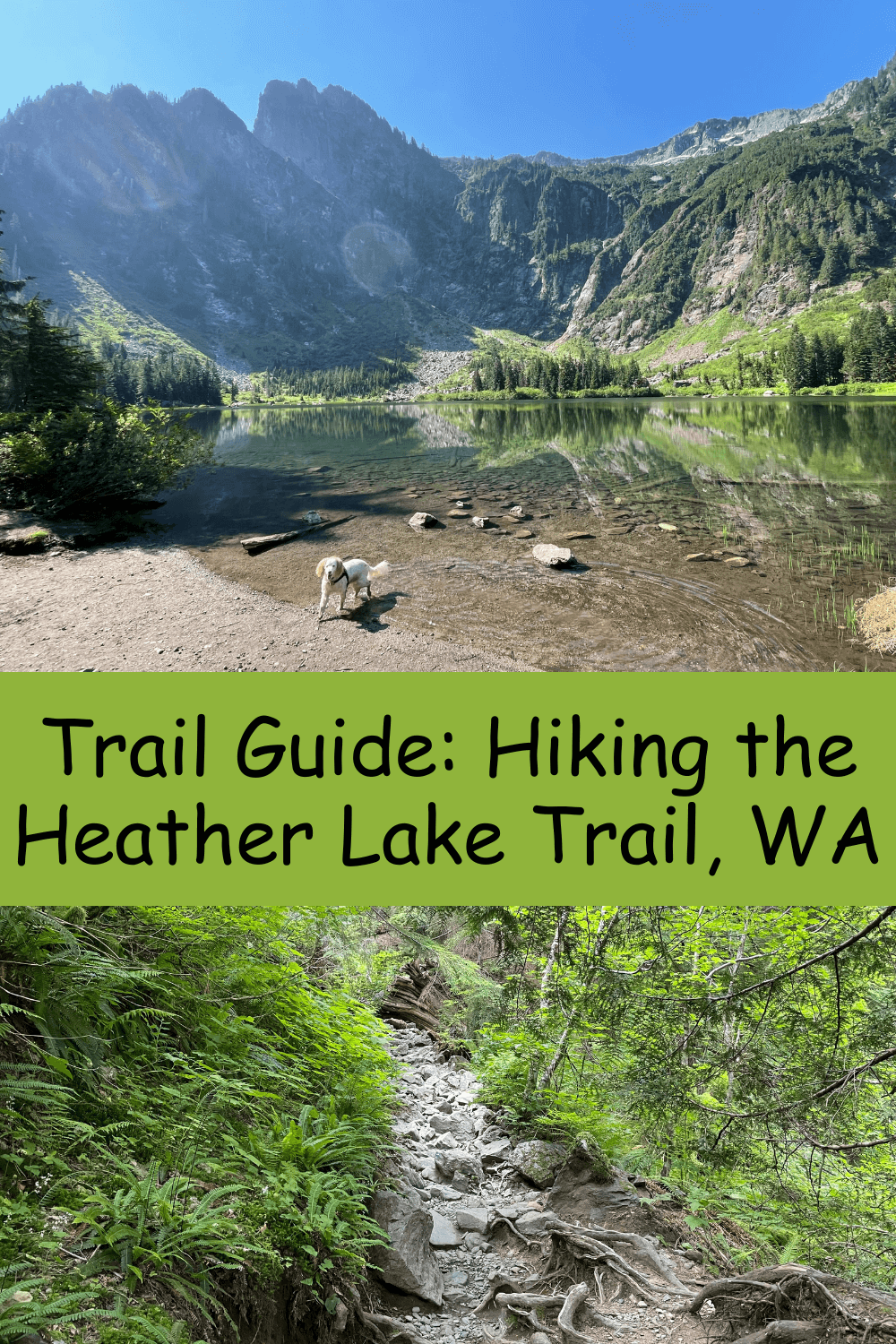 Trail Guide: Hiking the Heather Lake Trail, Washington